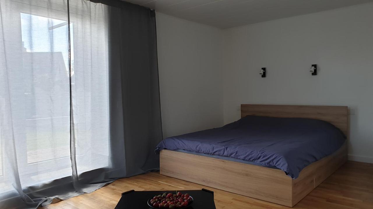 AnykščiaiMuziejaus 10 Studijaアパートメント エクステリア 写真